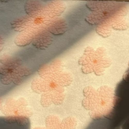 Fleece (2)